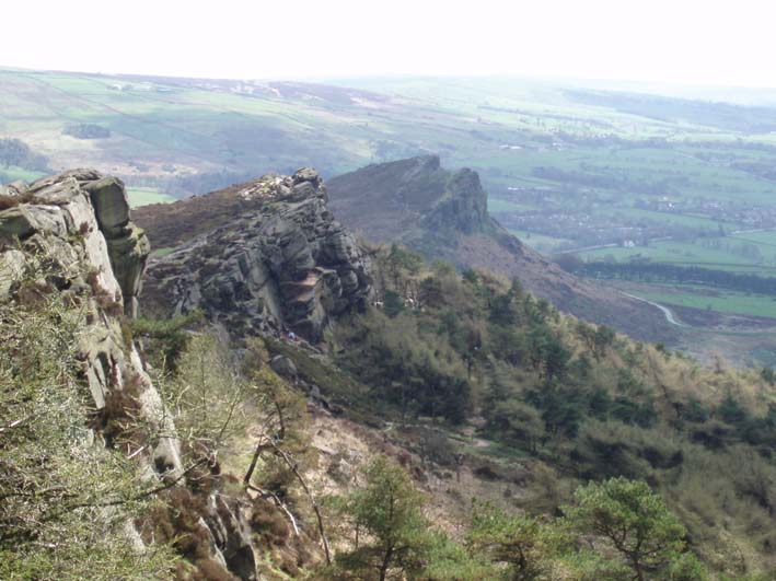 The Roaches The Roaches